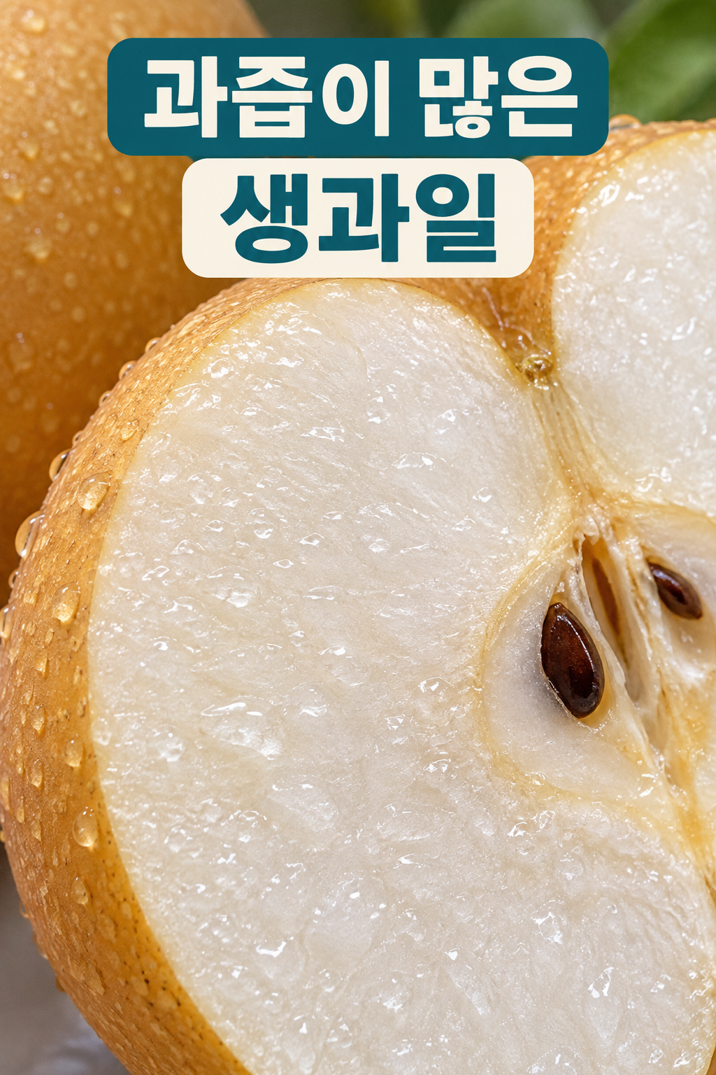 과즙이 맺힌 한국 배 과육의 가까운 모습