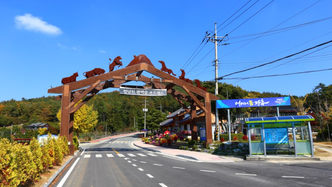 장흥 편백숲 우드랜드