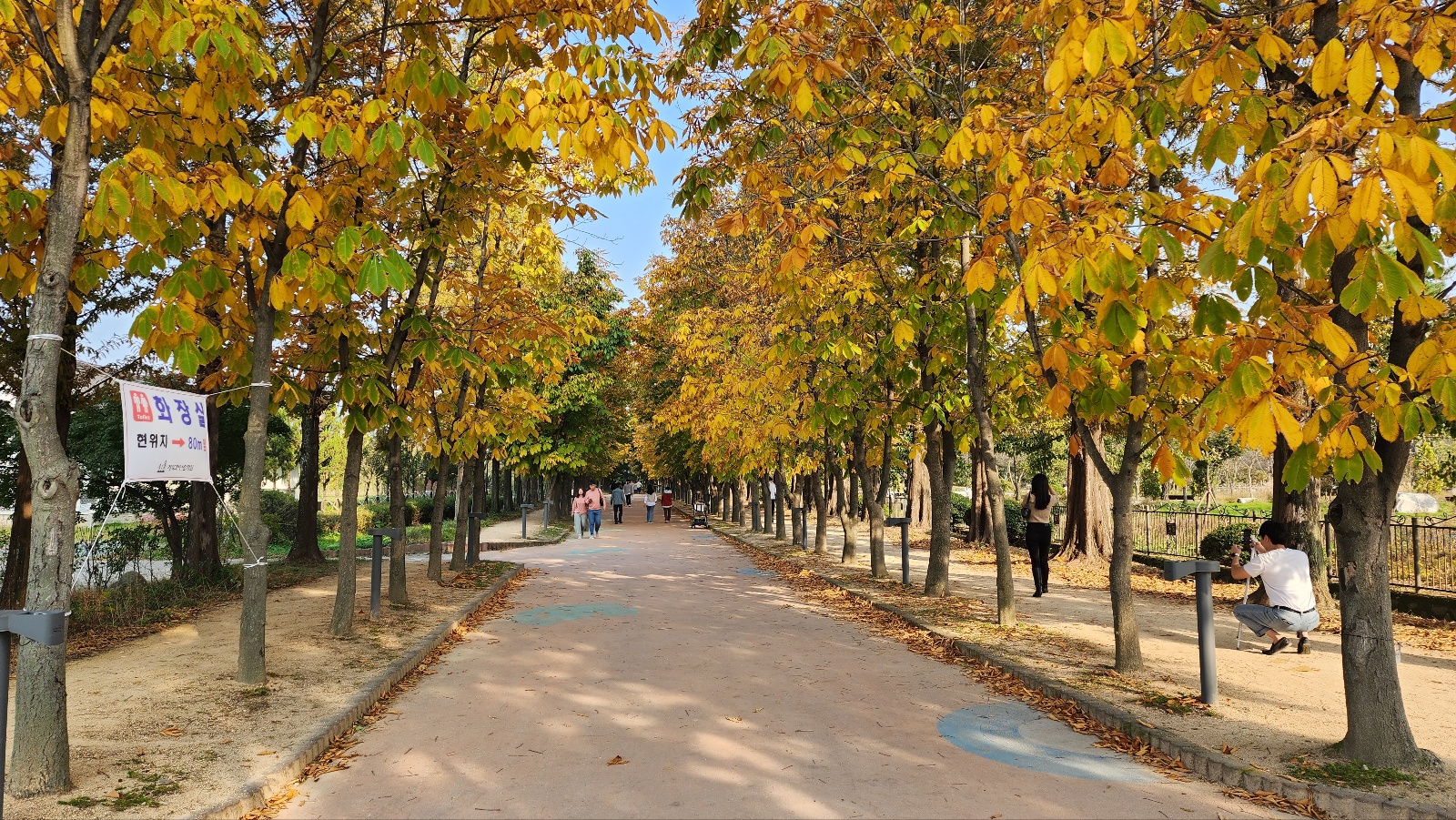 경북 천년숲 정원