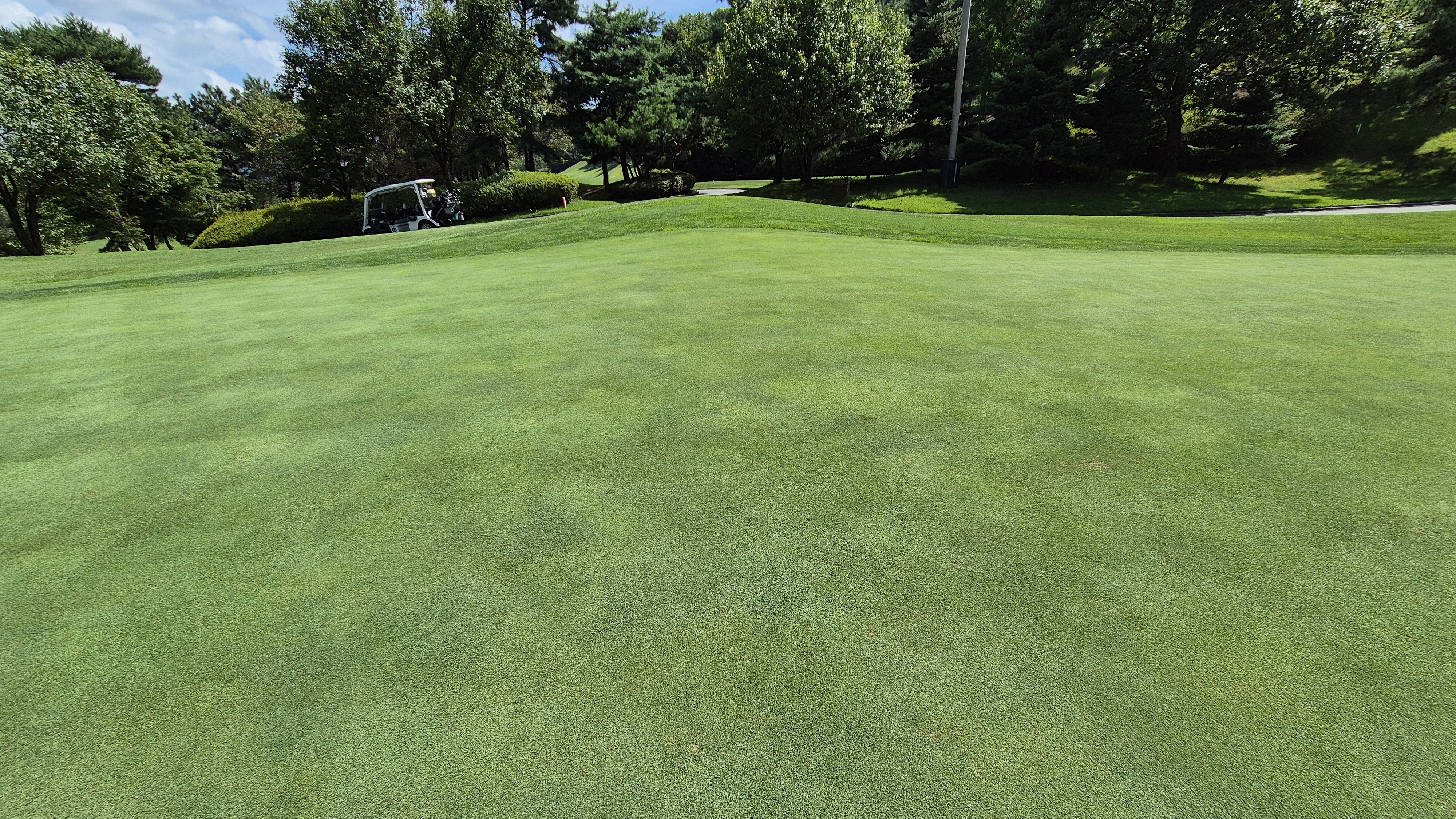 골프존카운티 천안 라운드 후기
