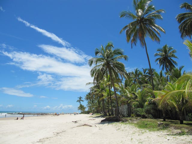 여권 만료 6개월 미만 입국 가능한 나라