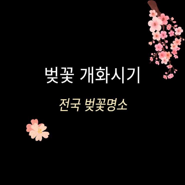 벚꽃 개화시기