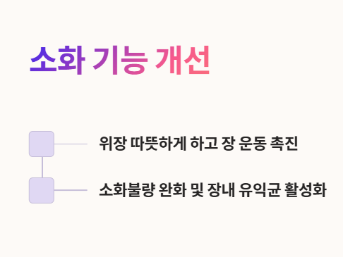 소화 기능 개선과 장 건강에 도움