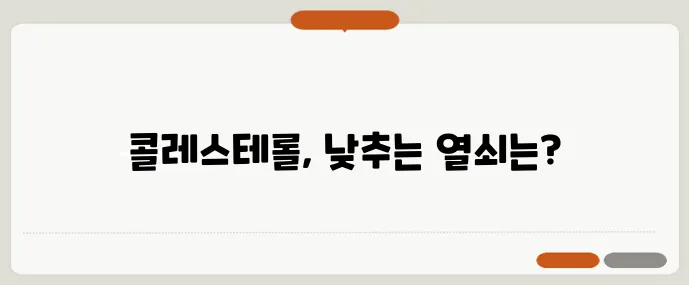 콜레스테롤 낮추려면 오메가3와 식물스테롤 조합이 중요하죠!