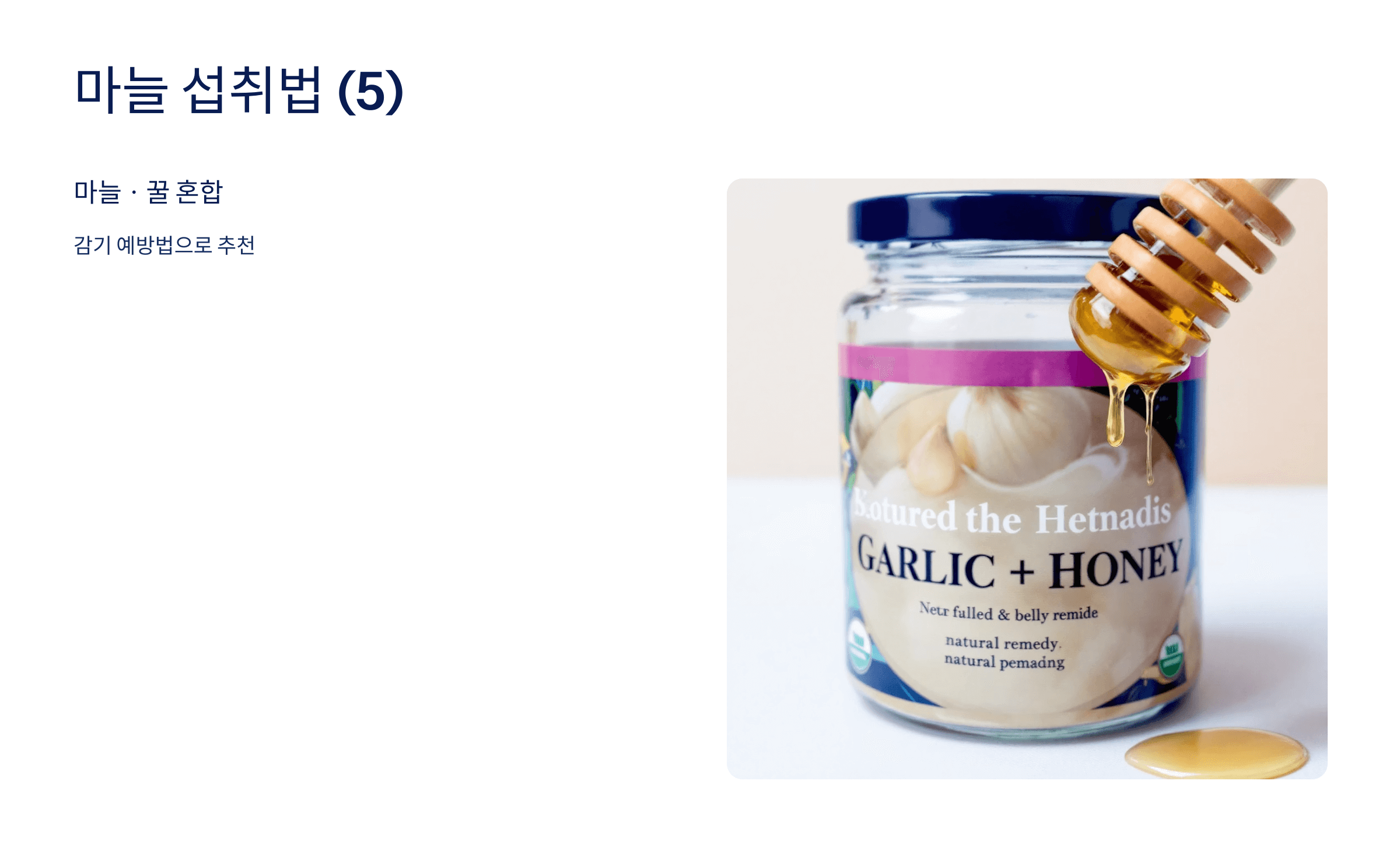 마늘 사진입니다.