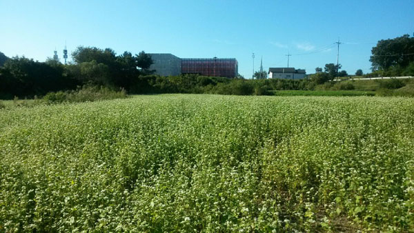 연천 가볼만한곳