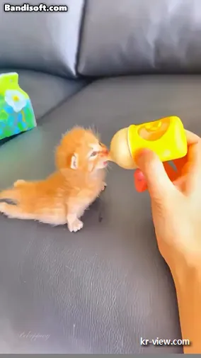 img.webp?credential=yqXZFxpELC7KVnFOS48ylbz2pIh7yKj8&expires=1767193199&allow_ip=&allow_referer=&signature=zaImyJKuT32HugPjEMAEGPJGkPM%3D