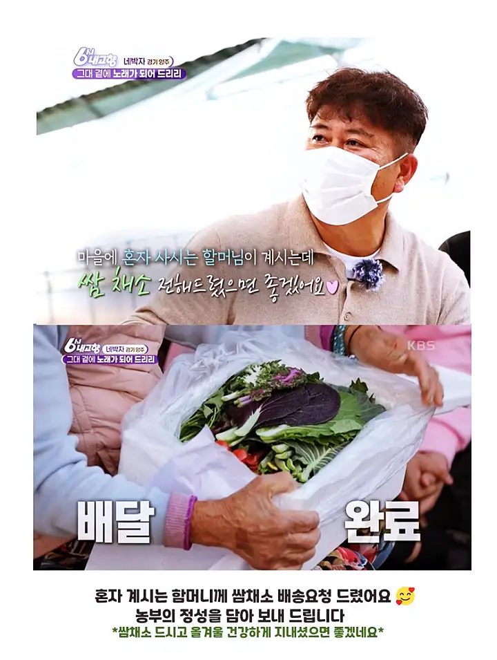서민갑부 쌈채소 방울토마토 오이 전국 택배 온라인 주문 야채 파는 곳 연 매출 10억 원 귀농 농부 이범석 방송 정보