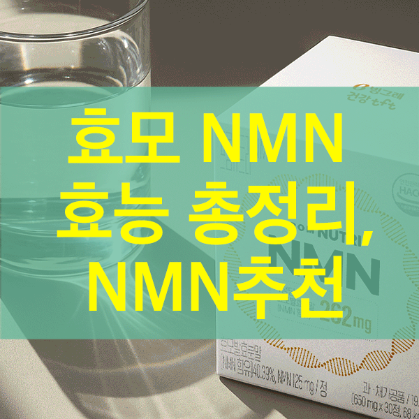 효모NMN효능 및 추천