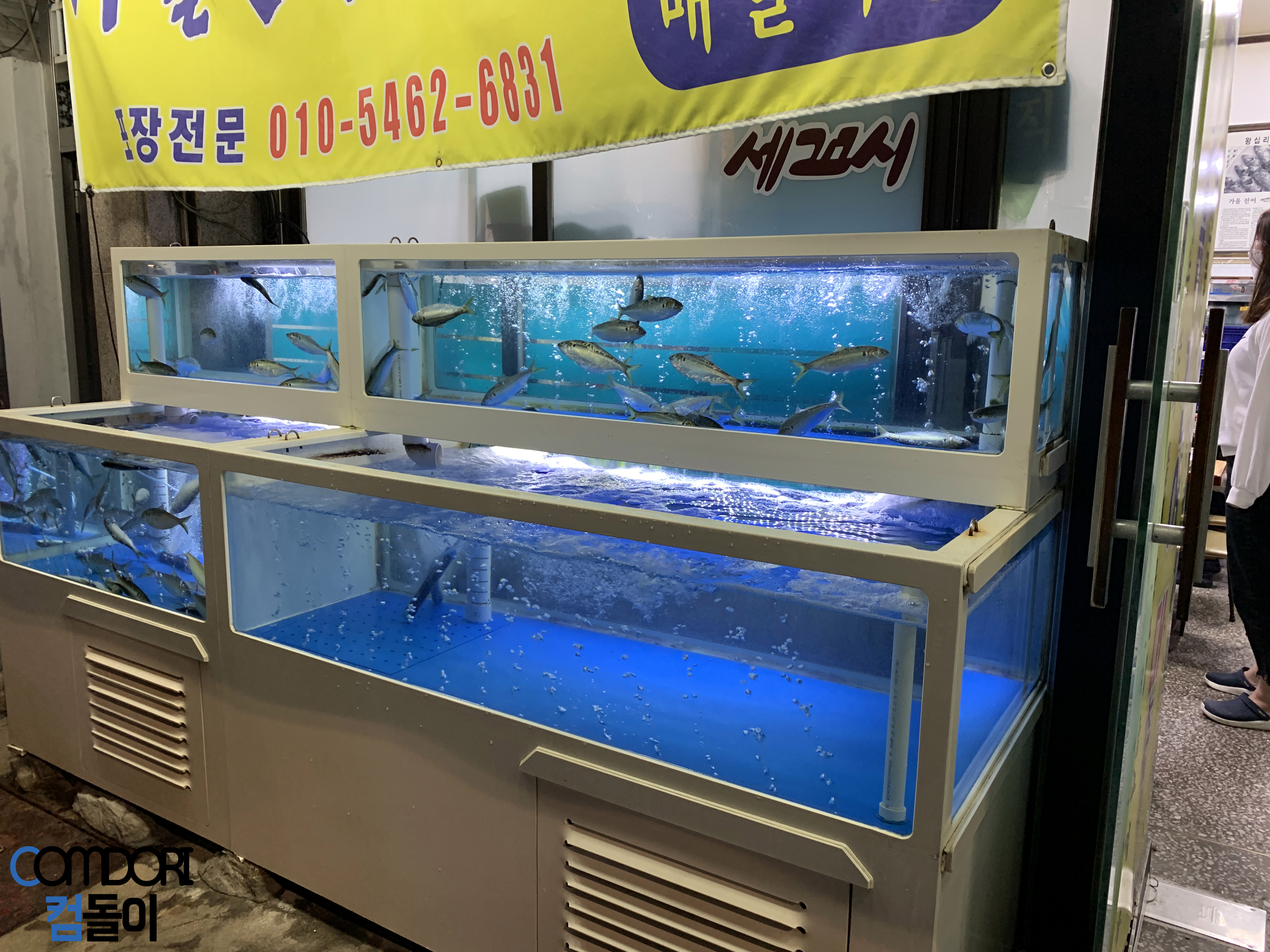 전어