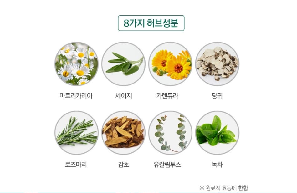 인생 찐 치약 추천 더오름 웰네이처 프로케어 치약 프로폴리스 함유 단체선물, 답례품 추천