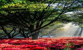 9월 국내여행지 베스트10 추천