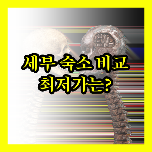세부 바디안 숙소 추천 세 곳 비교분