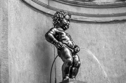 카리토포텐 효능