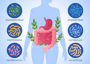 똑똑한 장 건강 관리법: 내 몸의 면역력을 키우는 방법