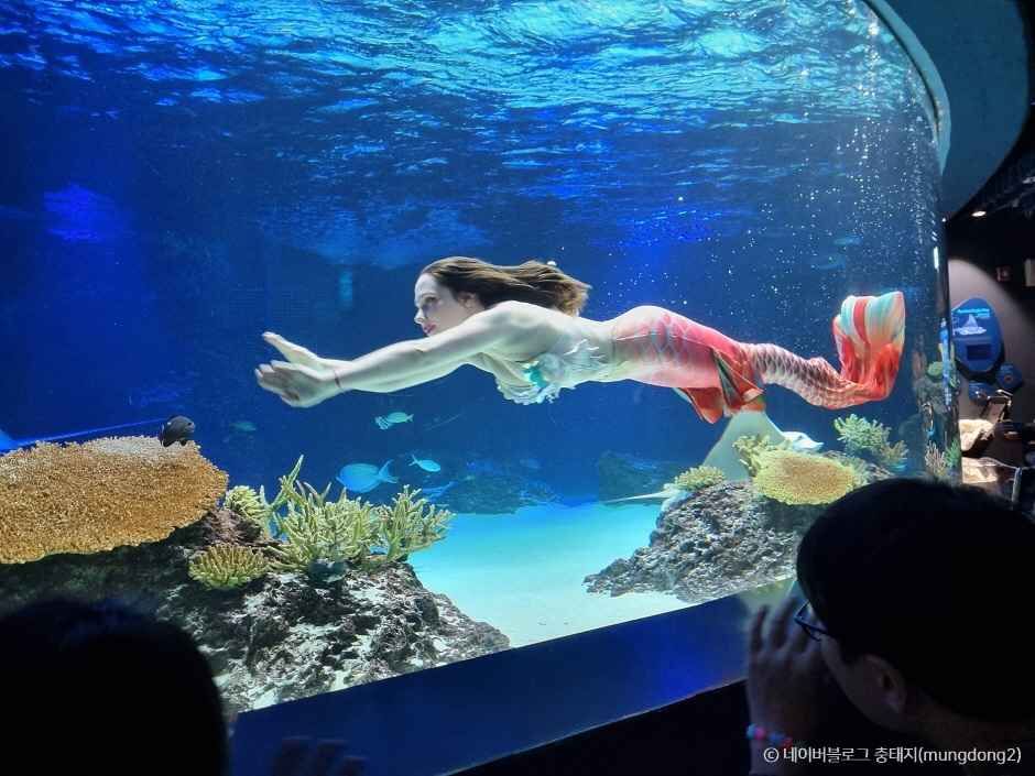 수원 가볼만한곳 베스트10