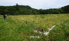 농지연금 수령액 계산 방법