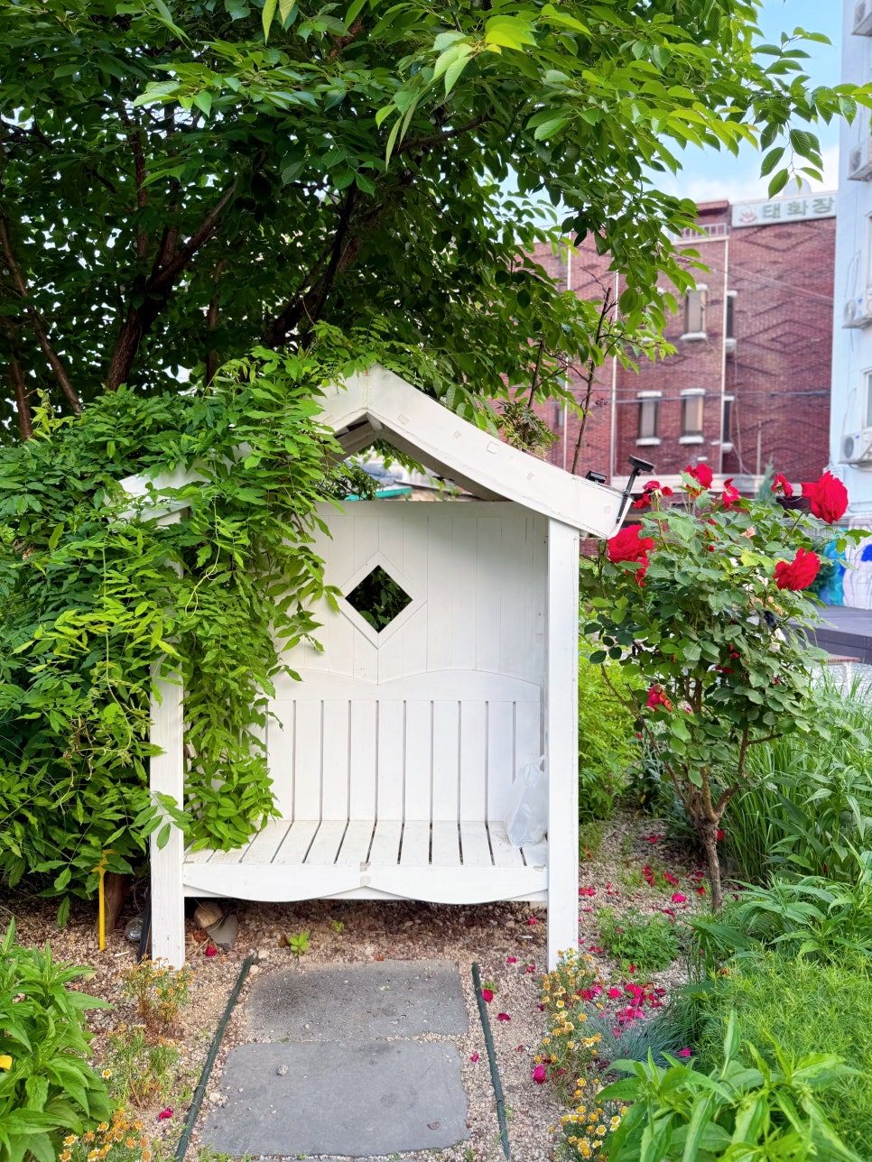 수원 행궁동 벽화마을