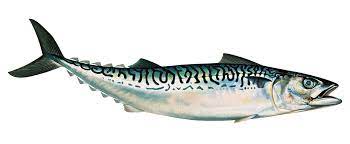 뼈에 좋은 음식