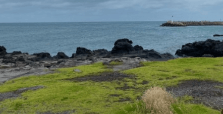 제주도 가볼만한곳 10곳 여행 꿀팁