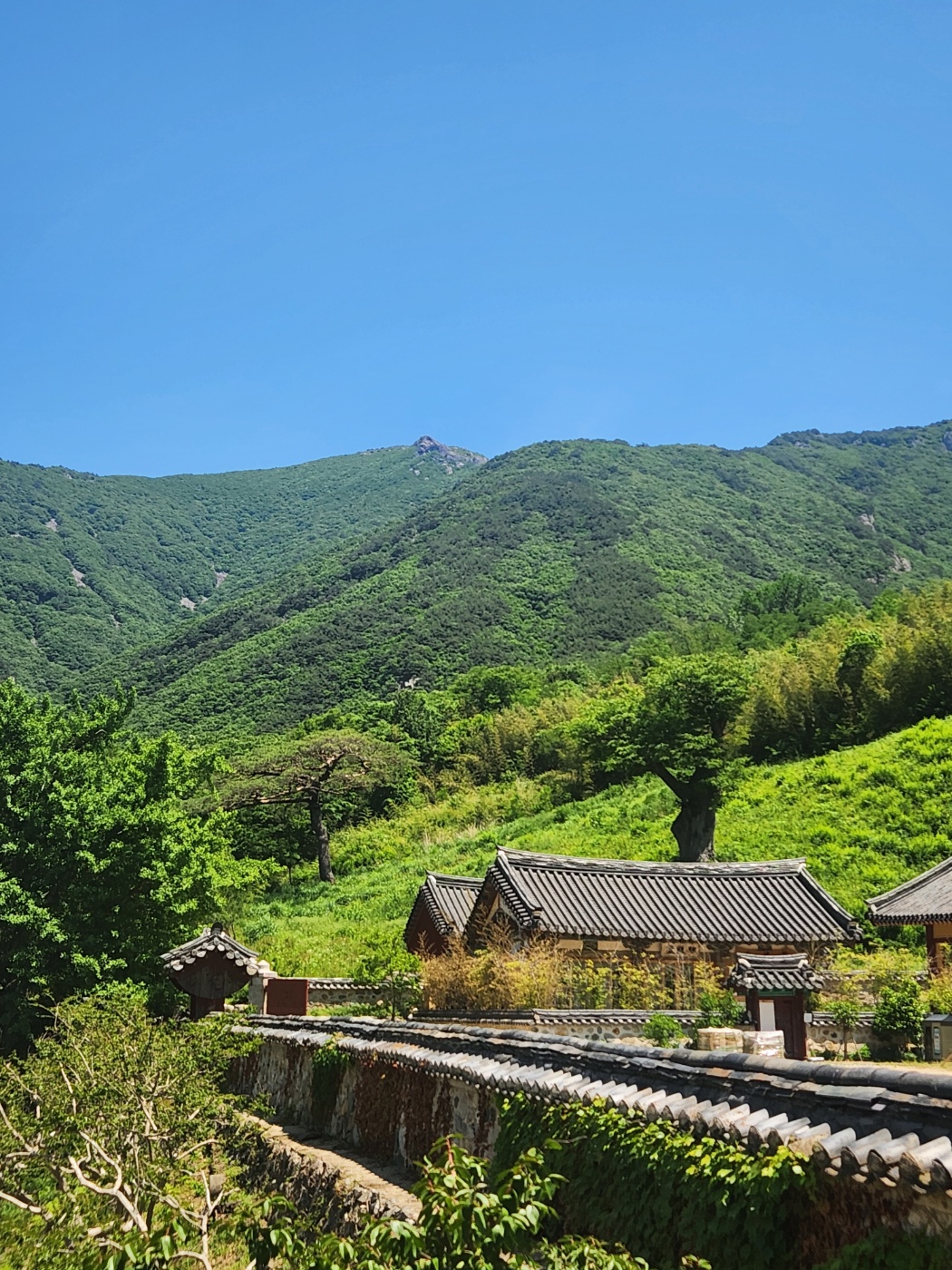 표충사