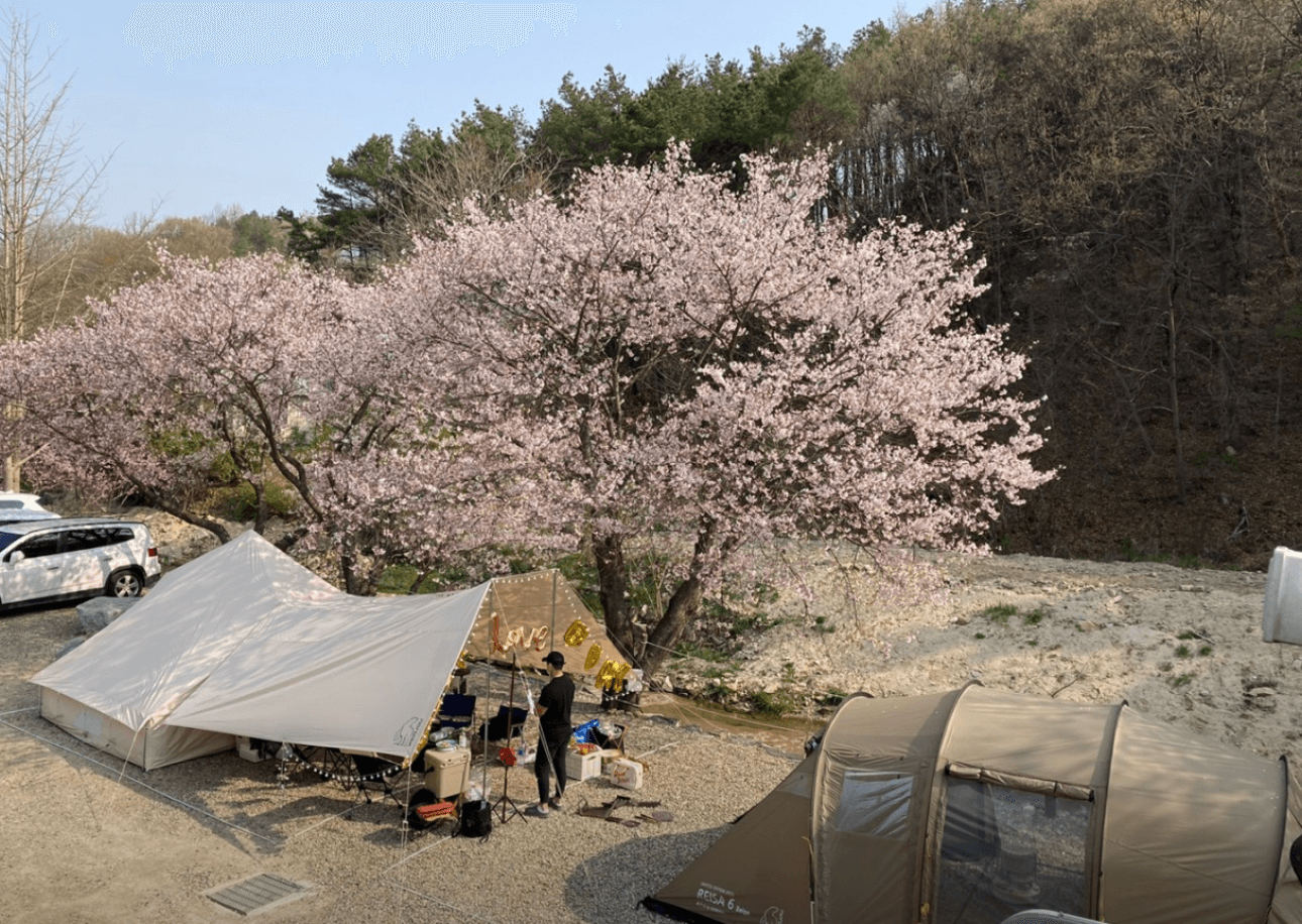 여주캠핑주막 야외 이미지