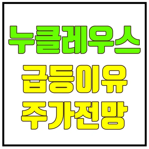 누글레우스급등주가전망