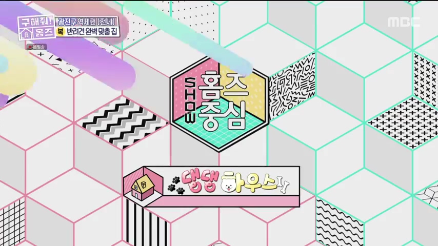 구해줘홈즈 댕댕하우스 동물병원 인접 서울시 광진구 중곡동 전세 매매 매물 가격 및 구조 인테리어 리모델링 최종선택 더보이즈 영훈 현재 소개
