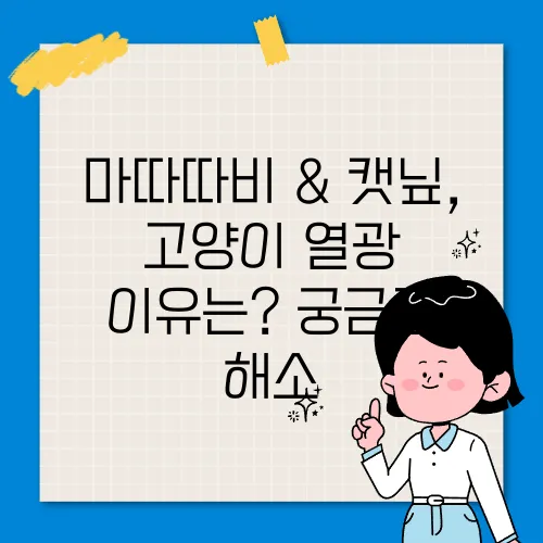 마따따비 & 캣닢, 고양이 열광 이유는? 궁금증 해소