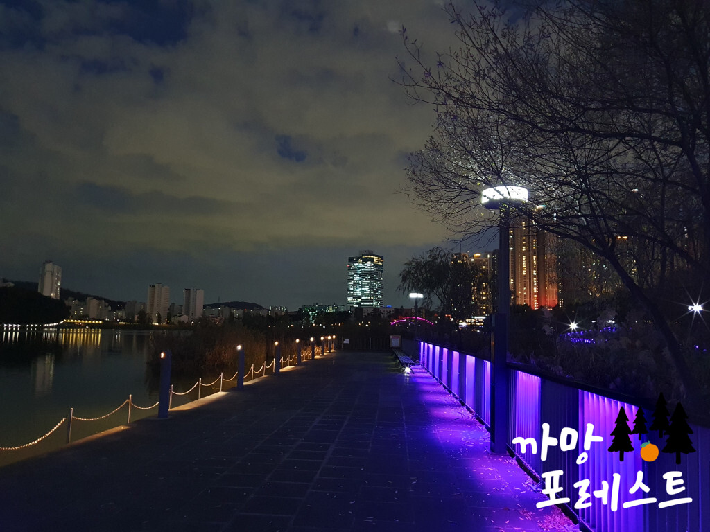 광교호수공원 야경