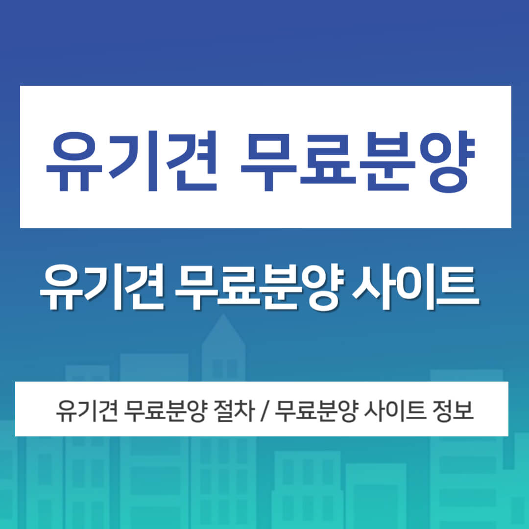 유기견 무료분양 사이트