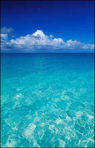 깊은 지혜를 상징하는 바다