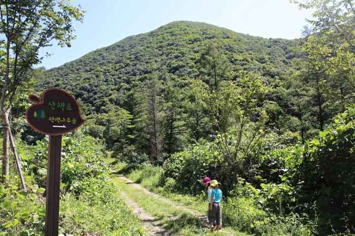 부귀편백숲산림욕장