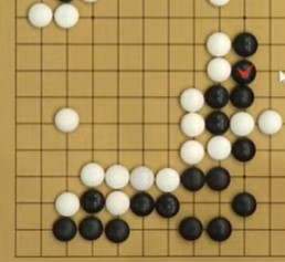nong-sim-world-baduk
