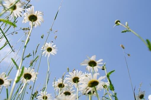 직자인의 인생역전