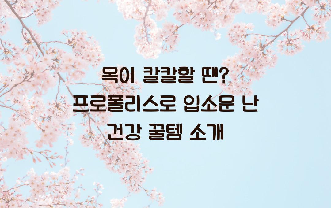 목이 칼칼할 땐? 프로폴리스 건강 기능 식품 추천