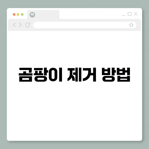 곰팡이 제거 방법, 청소보다는 원일을 제거해야!