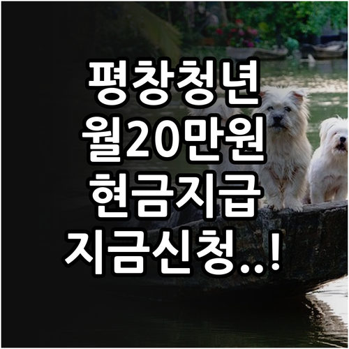 평창 청년월세지원 월 20만원 혜택 ..