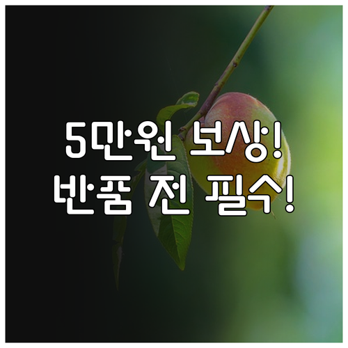쿠팡 5만원 보상 쿠폰 유효기간 확인..
