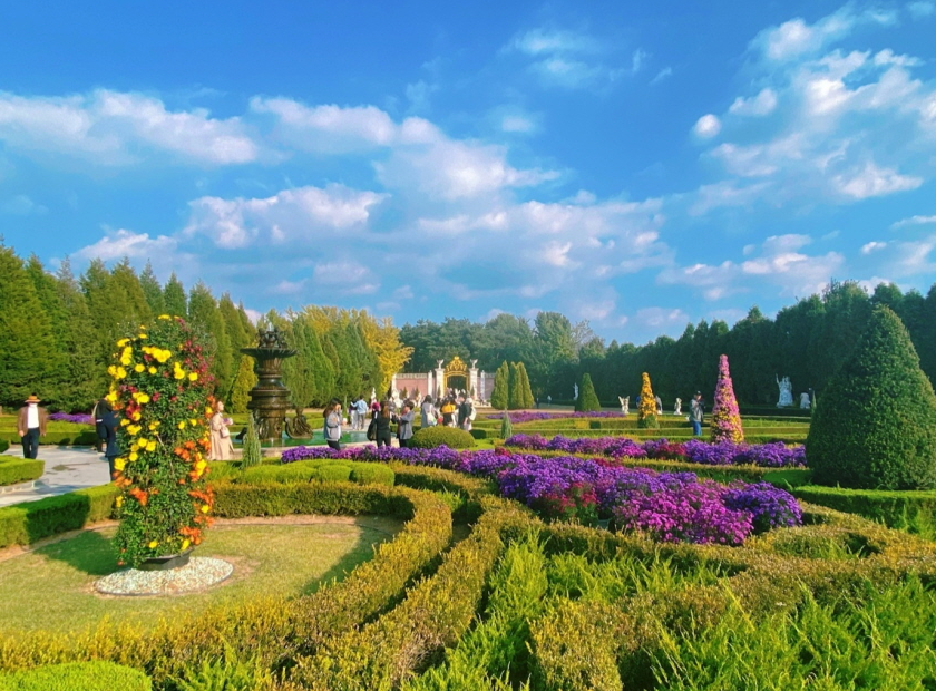 벽초지 수목원 가을꽃 국화축제 입장료