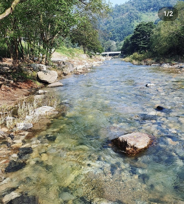 경기-가평-새와참새-캠핑장-사진-입니다.