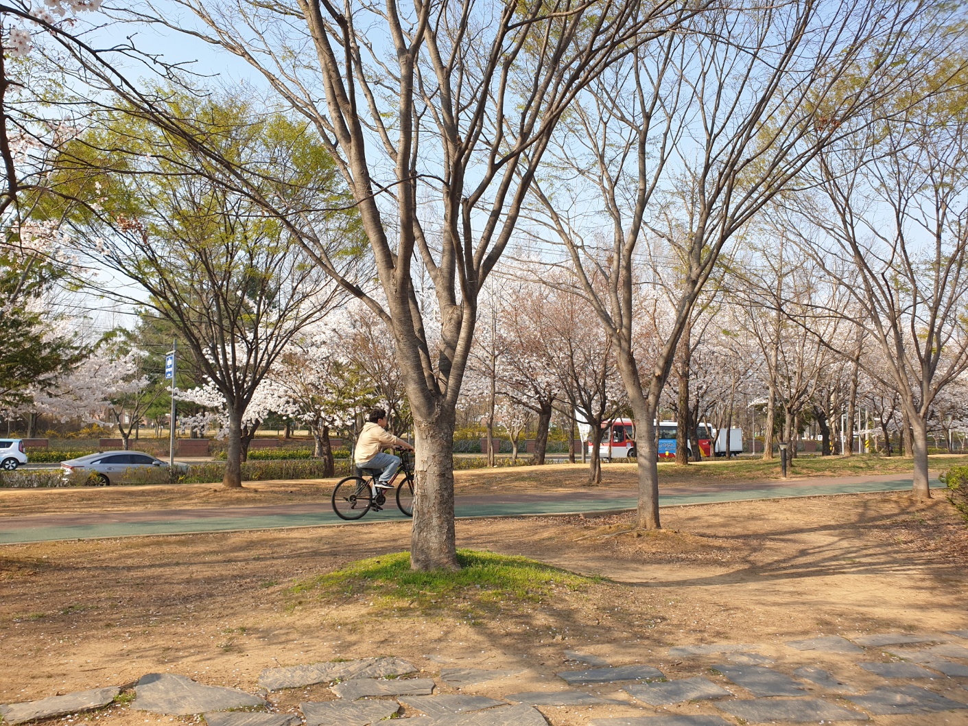 쌍암공원
