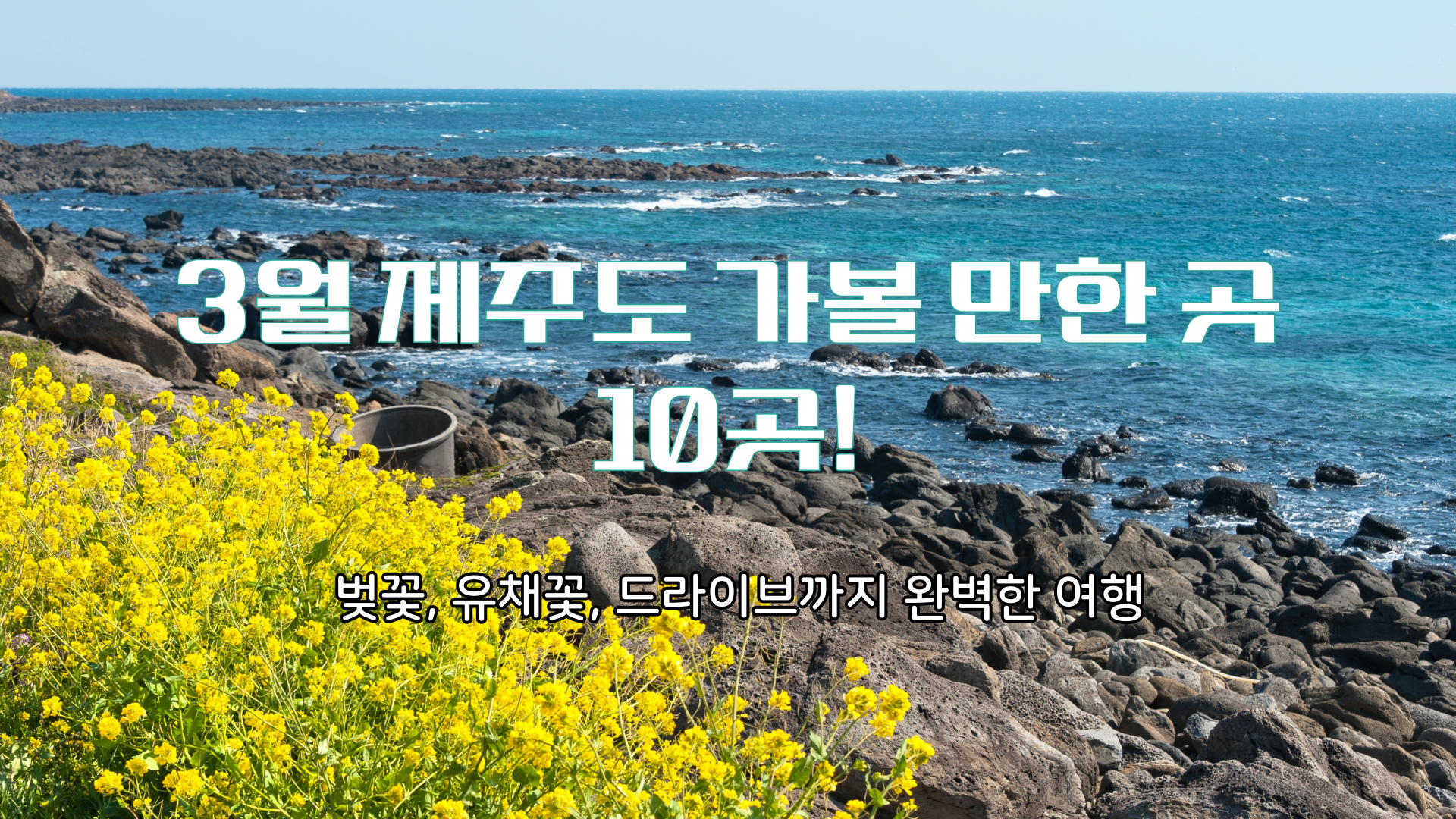 3월 제주도 가볼 만한 곳 10곳! 벚꽃, 유채꽃, 드라이브까지 완벽한 여행