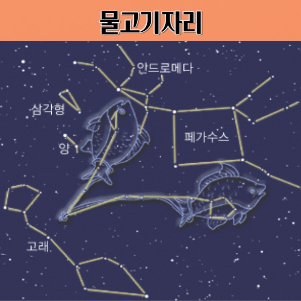 물고기자리 신화를 풀다