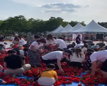 곡성 장미축제_17