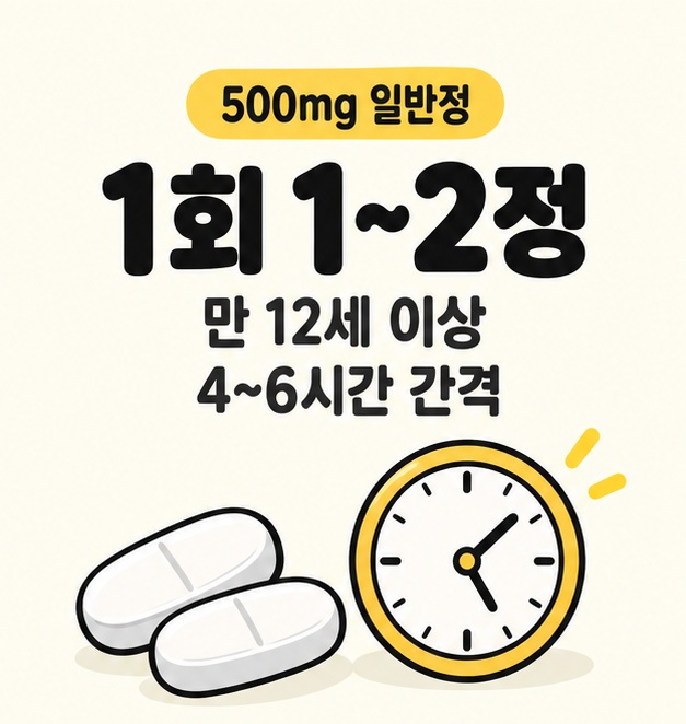 만 12세 이상 타이레놀정 500mg 일반정의 1회 1~2정과 4~6시간 복용 간격을 안내하는 그림