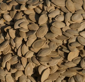 비타민E의 효능