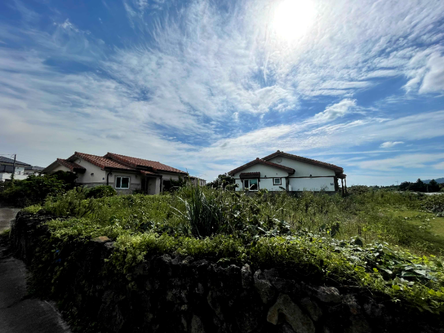 제주 대정읍 풍광