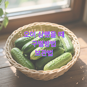 오이 상했을 때 구별방법 및 보관법