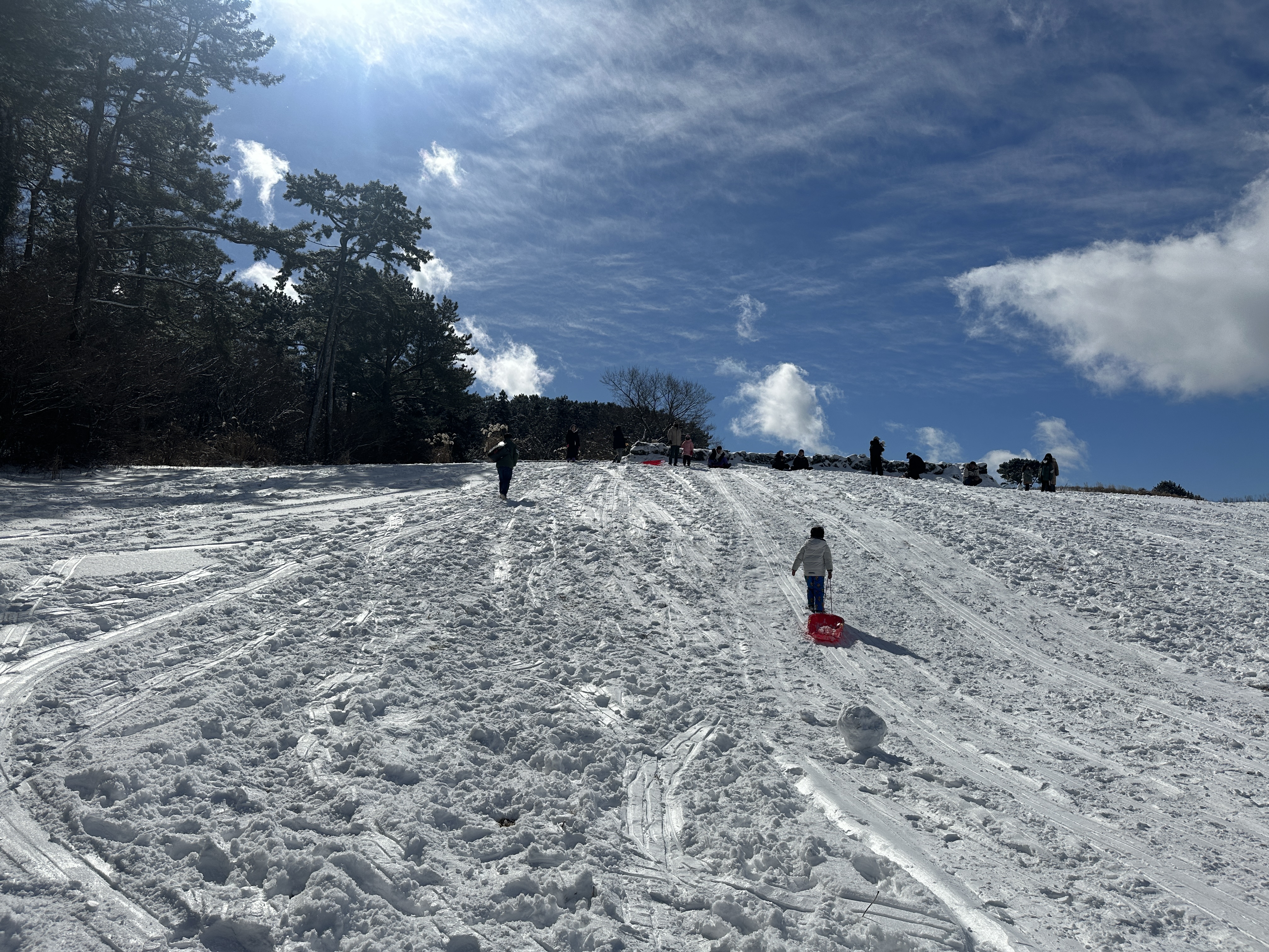 제주 눈썰매 스팟 주차 위치 파는곳